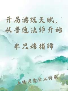 开局满级天赋，从普通法师开始